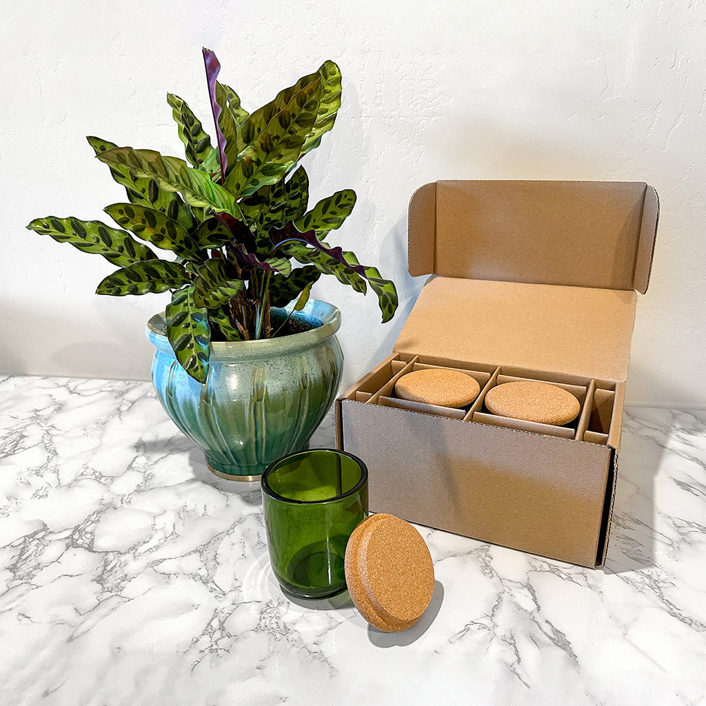 Shop the CandleScience Sonoma Tumbler 2-Pack Shipping Box from Flush Packaging