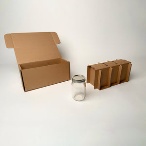 16 oz Pint Ball Regular Mouth Mason Jar 3-Pack Shipping Box available for purchase from Flush Packaging